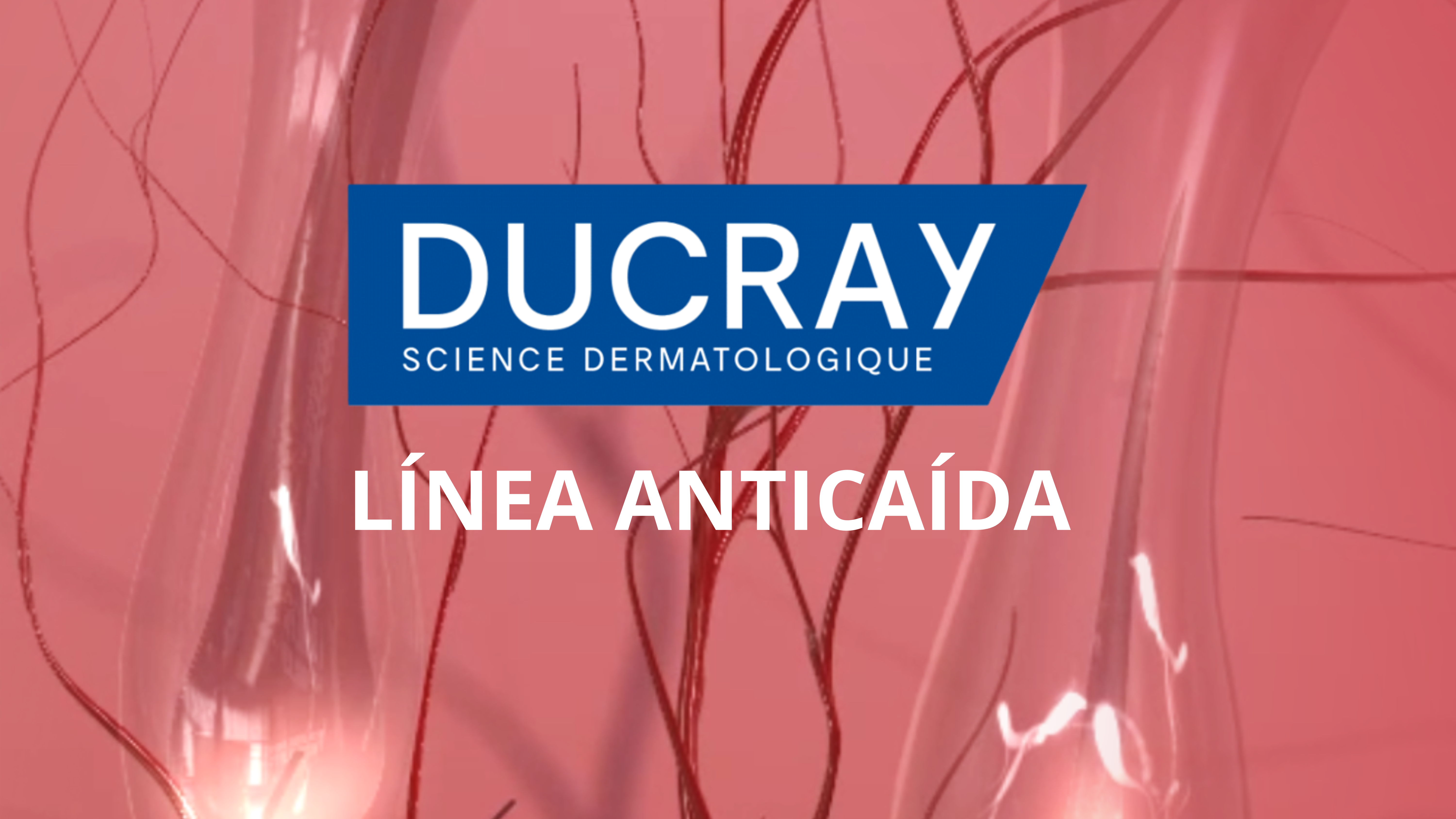LÍNEA